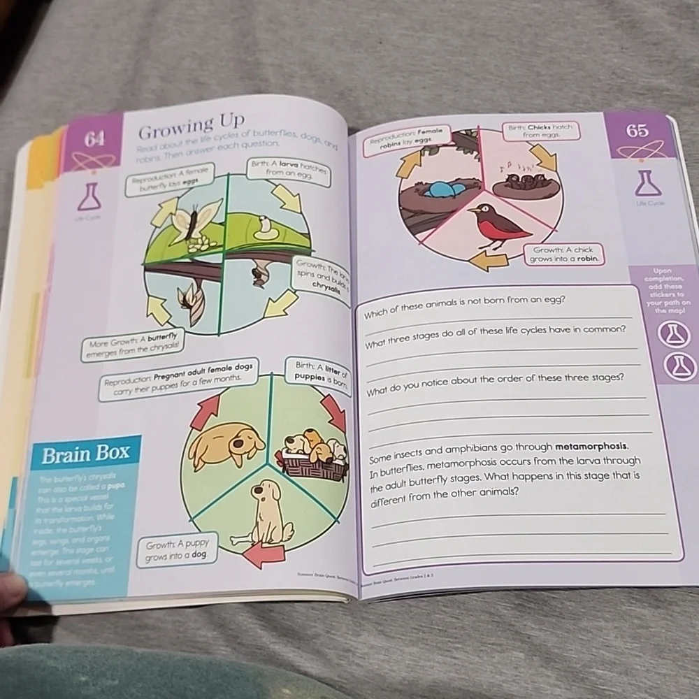 Brand new summer brain quest grades 2&3 - Picture 10 of 12